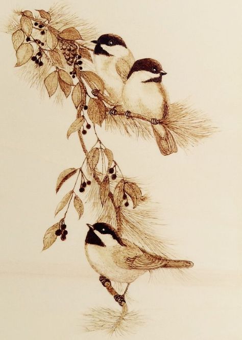 Wood burning of birds Wood Burning Gifts, Diy Wood Burning, Coffee Art Painting, Woodworking Plans Patterns, Mixing Colours, Pyrography Patterns, Woodworking Projects Furniture, Woodworking Plans Beginner, Wine Painting