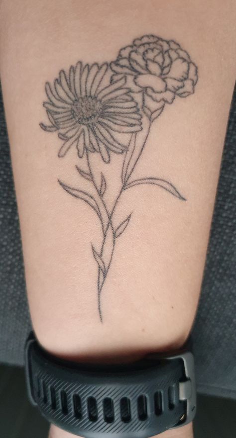 September And January Birth Flower Tattoo, Astra Flower Tattoo, Aster And Carnation Tattoo, January And September Flower Tattoo, Carnation And Aster Flower Tattoo, Aster Tattoo September, Tattoo Of Flowers, Aster Tattoo, Aster Flower Tattoos