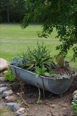 One day my husband was helping to rip down an old farm house. In the attic he found an old galvanized metal bathtub.   He knew I would be delighted with Garden Diy Decoration Ideas, Galvanized Tub, Succulents In Containers, Garden Containers, Unique Gardens, Country Gardening, Rustic Gardens, Shade Garden, Container Plants