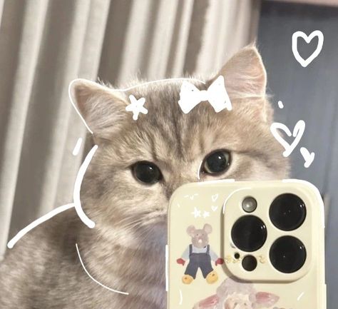 Cute Profile Pictures Cat, Cute Cat Pp, Profile Instagram, Funny Cat Wallpaper, Cat Doodle, Cute Canvas Paintings, Cats Iphone, Cute Cat Wallpaper, Cute Cats Photos