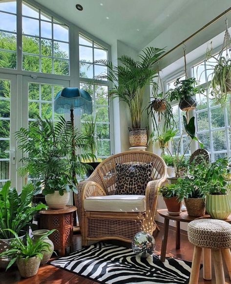 All Season Room, Different House Styles, Sunroom Decorating, Bohemian Furniture, Sunroom Ideas, Balcony Plants, Plant Room, Tropical Home Decor, Tropical Home