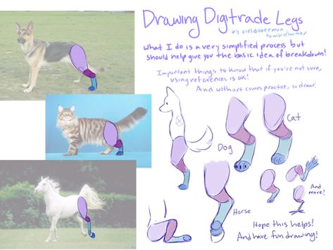 Ciel Doberman Cat Drawing Tutorial, Cat Anatomy, Body Reference Drawing, Caught On Camera, Poses References, Anatomy Reference, Awkward Moments, Anatomy Art, Art Tutorials Drawing