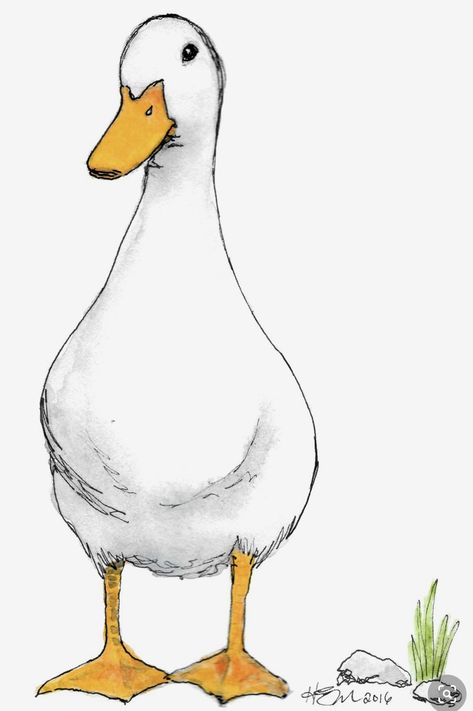 Duck Watercolor, Seni Mural, Art Du Croquis, Duck Drawing, Duck Art, A Duck, Art Et Illustration, White Duck, Bird Drawings