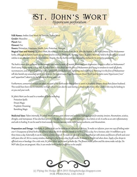 Herbarium: St. John's Wort. Magical and Medicinal uses of St. John's Wort. Includes free BOS page! Witchy Herbs, Sun Element, Prophetic Dreams, Dream Magic, Magickal Herbs, St John's Wort, Witch Herbs, Planet Sun, Green Witchcraft