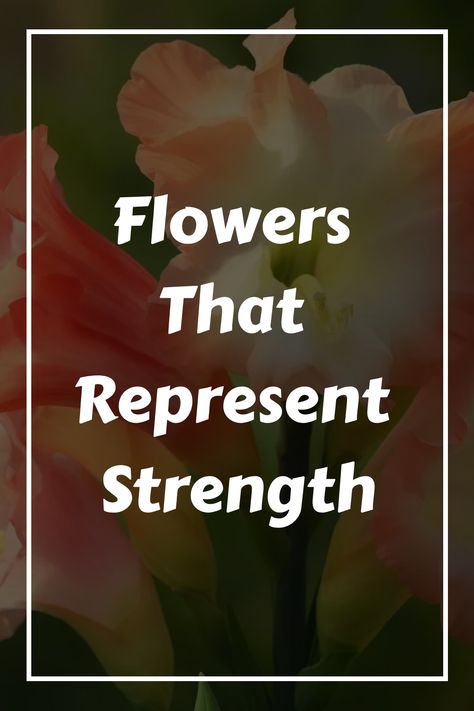 Looking for a meaningful symbol of strength? Flowers have long been associated with certain qualities and emotions, and there are many blooms that represent Flowers For Strength, Flowers That Symbolize Strength, Flowers That Represent Strength, Scottish Army, Different Types Of Plants, 10 Flowers, Gladiolus Flower, Symbol Of Strength, Popular Flowers