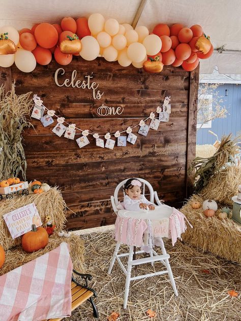 Pumpkin Patch Birthday Party Ideas, Pumpkin Party Ideas 1st Birthdays, Pumpkin Birthday Party Girl, Birthday Pumpkin Patch, Fall Baby Birthday, Fall Birthday Party Ideas, Patch Birthday Party, 1st Photoshoot, Pumpkin Patch Birthday Party