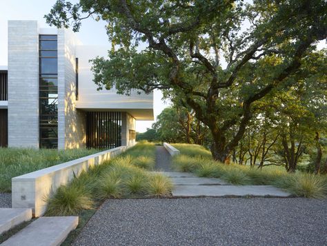 Bernard Trainor, Proprietor's residence at retrospect vineyards, Windsor Sonoma Vineyards, Contemporary Landscape Design, Vineyard House, California Vineyards, Modern Landscape Design, Concrete Steps, Landscape Plans, Modern Landscaping, Contemporary Landscape