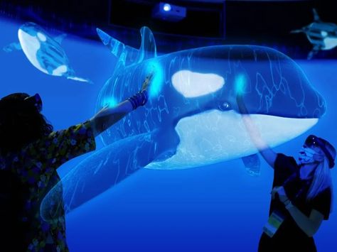 Visitors at the Smithsonian’s National Museum of Natural History can interact with an endangered holographic orca pod in the new augmented-reality experience, “Critical Distance.” The experience is designed to connect humans to the ocean National Museum Of Natural History, Science Skills, Marine Ecosystem, Dc Travel, Marine Conservation, Marine Environment, Museum Of Natural History, Shed Light, Smithsonian Institution