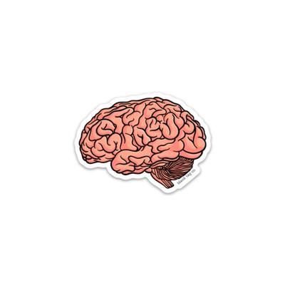 Medical Stickers – blank tag co. Cool Stickers Art, Aesthetic Brain, Brain Sticker, Anatomical Brain, Doctor Stickers, Medical Stickers, Stickers Cool, Science Stickers, Brain Anatomy