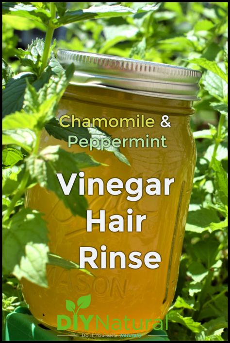 Chamomile Hair Rinse, Vinegar Hair Rinse Recipe, Homemade Creams, Hair Rinse Recipe, Chamomile Hair, Acv Hair, Vinegar Hair Rinse, Vinegar For Hair, Organic Cream