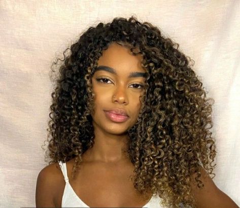 Partial Highlights Black Women Curly Hair, Chestnut Highlights Curly Hair, Pelo Color Borgoña, Blonde Highlights Curly Hair, Curly Highlights, Dyed Curly Hair, Curly Hair Care Routine, Highlights Curly Hair, Honey Brown Hair