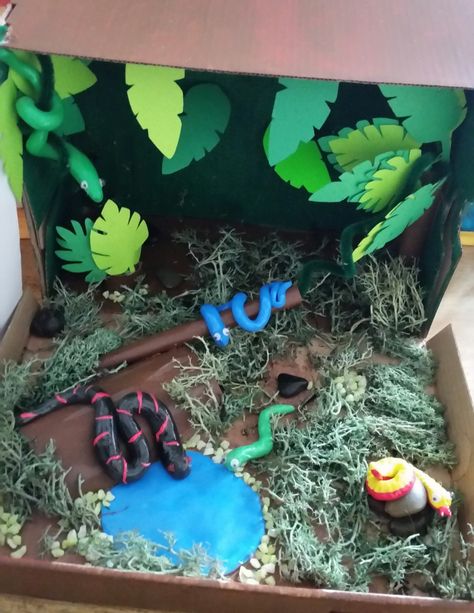 Snake Habitat Biome Diorama, Snake Habitat, Habitat Project, Delete Image, New Year's Crafts, Biome, Image Notes, Unit Study, A Snake