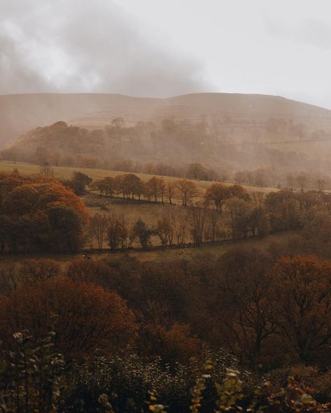 All posts • Instagram Gloomy Autumn, Autumn Woods, Autumn In New York, Brecon Beacons, Late Autumn, Autumn Magic, Autumn Nature, Time Life, Autumn Scenery