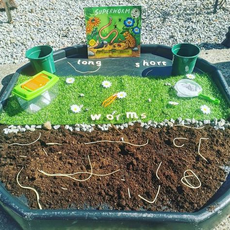 Worms Eyfs Activities, Worm Provocations, Super Worm Tuff Tray, Insect Eyfs Activities, Nursery Garden Activities, Insect Tuff Tray Ideas, Superworm Tuff Tray, Mini Beast Tuff Tray, Eyfs Minibeasts Activities