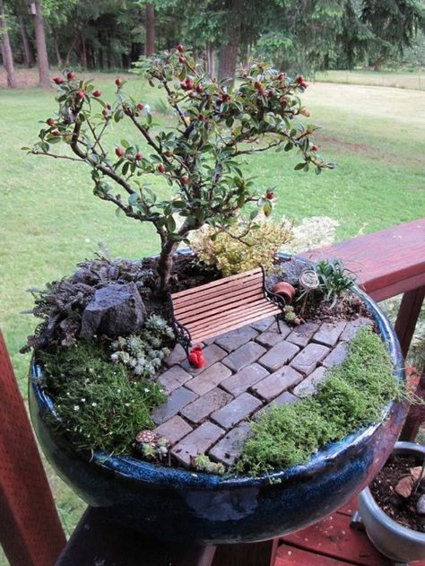 Diy Fairy Garden, Fairy Garden Ideas, Fairy Garden Plants, Fairy Garden Designs, Fairy Garden Crafts, Faeries Gardens, Fairy Garden Decor, Fairy Garden Houses, Garden Terrarium