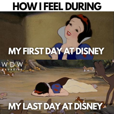 Leaving is the worst part about any Disney vacation! 😰😢😭 Feeling the Disney Blues? 😰🌧💙 Subscribe to the most Magical Disney Magazine aroun… | Instagram Disney World Memes, Disney World Meme, Disney Magazine, Funny Disney Memes, My Last Day, Disney Memes, Disney Vacation, Disney Funny, Disney Pictures