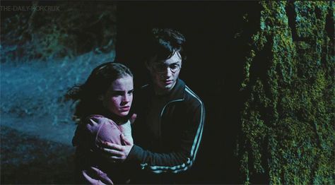 Harry And Hermione Kiss, Harry Potter Ginny, Ron Weasley Hermione Granger, Harry And Hermione, Harry Potter Scene, The Prisoner Of Azkaban, Harry Potter Draco Malfoy, Harry Potter Gif, Potter Facts