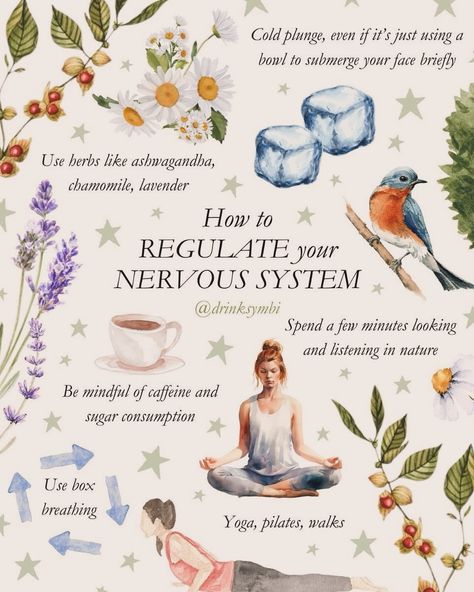 How To Regulate Your Nervous System, Regulate Nervous System, Seasonal Fruits And Vegetables, Sympathetic Nervous System, Breathing Meditation, Natural Healing Remedies, Energy Healing Spirituality, Herbal Healing, Daily Challenges