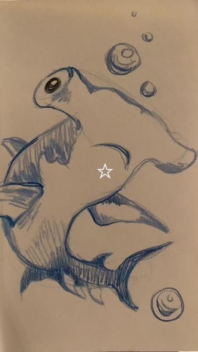 Hammerhead Shark Drawing Sketches, Sharks Doodle, Cute Ocean Animals Drawings, Sting Ray Sketch, Whale Shark Drawing Sketches, Hammer Head Shark Drawings, Sea Animals Drawing Sketch, Marine Biology Drawings, Shark Drawing Simple