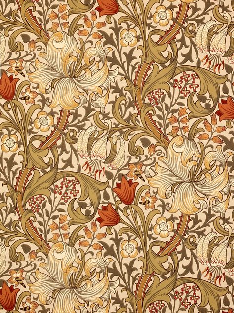 BuyMorris & Co. Golden Lily, Biscuit / Brick, 210400 Online at johnlewis.com Golden Lily Wallpaper, Craftsman Wallpaper, William Morris Wallpaper, Lily Wallpaper, Morris Wallpapers, Lily Pattern, William Morris Designs, Brick Wallpaper, Wallpaper Border