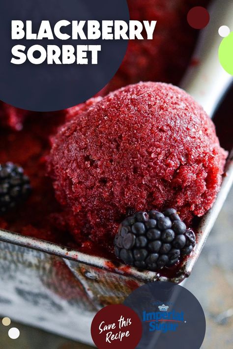 Celebrate the Fourth of July with our homemade, easy to make Blackberry Sorbet recipe! This refreshing and tangy treat is bursting with the flavors of juicy blackberries. Just 4 simple ingredients and an ice cream maker are all you need to create this delightful dessert. And, its gluten free and vegan! Serve it in festive red, white, and blue bowls for a patriotic touch at your Fourth of July celebration! Save this recipe and try this refreshing summer dessert today! Blackberry Sorbet, Homemade Sorbet, Sorbet Recipe, Frozen Dessert Recipe, Sorbet Recipes, Ninja Creami, Oreo Dessert, Ice Cream Popsicles, S'mores