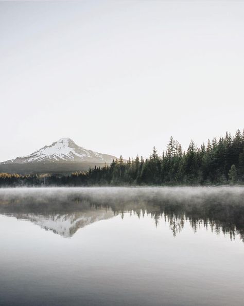 How I Elected Donald Trump—And What I’m Going to Do About It Live Deliberately, Mountain Reflection, Modern Hepburn, Trillium Lake, Magic Places, Paintings Landscape, Camping Photography, Natural Landscapes, Camping Experience