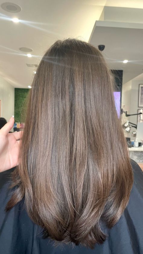 A round hair cut of medium length hair that’s blown out Shirt Layered Hair, Haircut With Long Layers, Round Haircut, Hair Minimal, Long Layers, Long Hair Cuts, Layered Hair, Cortes De Cabello Corto, Brown Hair