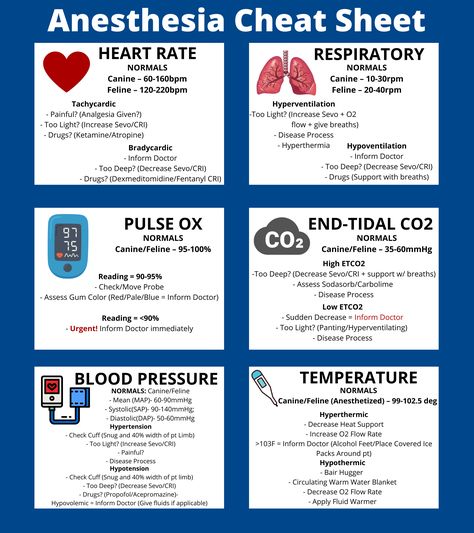 Anesthesia Monitoring Vet Tech, Vet Tech Cheat Sheet Anesthesia, Vet Anesthesia, Veterinary Medicine Student, Vet Nursing, Vet Tech Humor, Vet Tech School, Nursing Instructor, Veterinary Tech