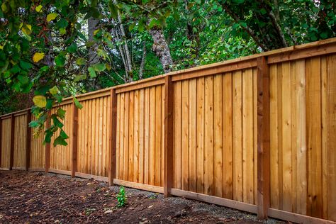 Picture frame fencing constructed from quality cedar material with overlapped boards. Drought Landscaping, Backyard Luxury, Perimeter Fence, Backyard Gates, Garden Railings, Wood Privacy Fence, Fence Options, Wood Fence Design, Challenge Course