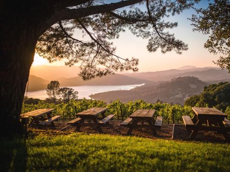 Voted Top 10 of the Most Beautiful Wineries in Napa Valley - The Visit Napa Valley Blog Beautiful Wineries, Napa Valley Vacation, Napa Valley Restaurants, Napa Restaurants, Napa Valley Vineyards, Napa Trip, California Roadtrip, Napa Wineries, Napa Valley Wineries