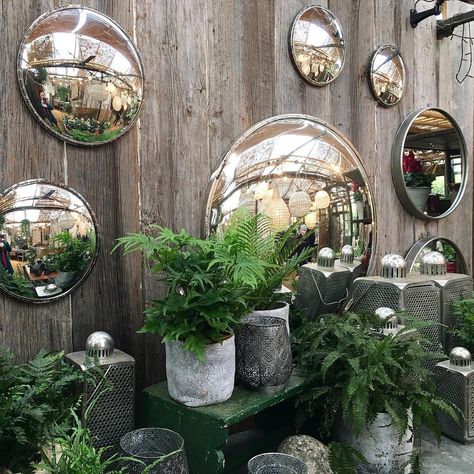 I find this display of plants and mirrors just so beautiful! I couldn't help but bring one of those ferns home with me during my weekend visit to what might just be the closest to the Secret Garden that London has - Petersham Nurseries in Richmond right next to Richmond Park. @petershamnurseries Prime nature inspiration for London based nature inspired abstract artist Vera Blagev - learn more at www.veraveraonthewall.com #green #garden #gardening #gardens #greencolor #greencolour #instagarden #i Plants And Mirrors, Plant Mirror, Rent Room, Ikea Plant, Maze Art, Mirror Outdoor, Ikea Plants, Petersham Nurseries, Marble Maze