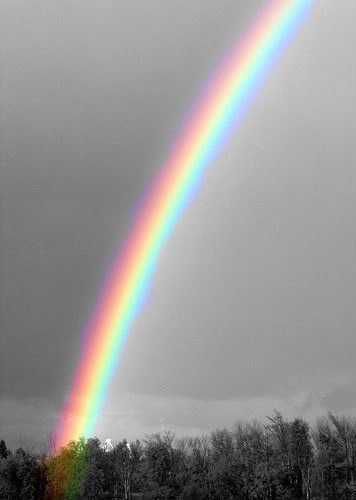 Color Splash Photo, Rainbow Pictures, Color Splash Photography, Splash Photography, God's Promise, Rainbow Aesthetic, Love Rainbow, Photo Blog, Beautiful Rainbow