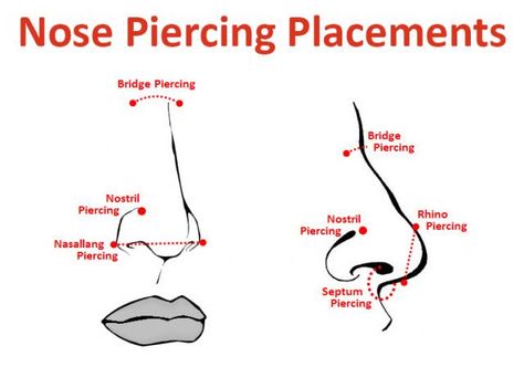 Placements of Common Nose Piercings Nose Diagram, Piercing Diagram, Nose Piercing Placement, Piercing Bridge, Piercing Placement, Piercing Facial, Rhino Piercing, Piercing Face, Piercing Nostril