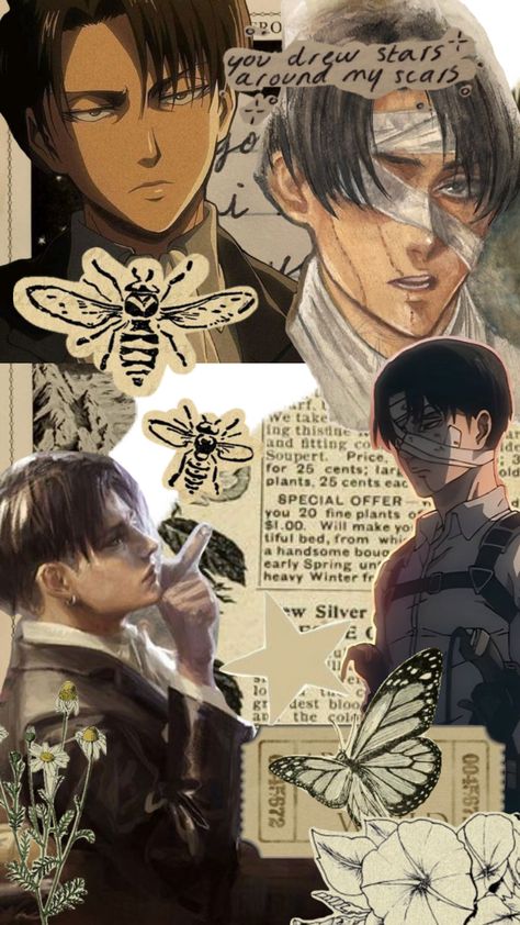 Levi Wallpapers Aesthetic, Levi Ackerman Wallpapers Aesthetic, Anime Levi Wallpapers Aesthetic, Levi Fan Art Wallpaper, Levi Ackerman Wallpapers, Levi Collage, Levi Ackerman Aesthetic, Levi Christmas, Levi Ackerman Phone Wallpaper