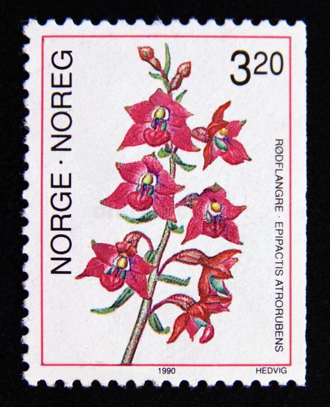 Postage Stamp Art, Northern Europe, Stamp Printing, Post Stamp, Postal Stamps, Flower Stamp, Vintage Stamps, Orchid Flower, Wildlife Art