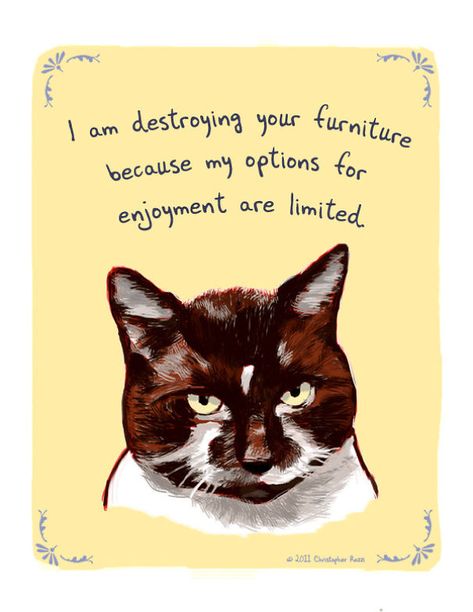 Arte Peculiar, 5x7 Print, Cat Quotes, Cat Posters, Persian Cat, 8x10 Print, Cats Meow, Crazy Cat Lady, Cat Print