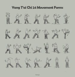 Practice Tai Chi Movements, Tai Chi Moves, Static Website, Learn Tai Chi, Tai Chi Exercise, Tai Chi Qigong, Kung Fu Martial Arts, Shaolin Kung Fu, Self Defense Martial Arts