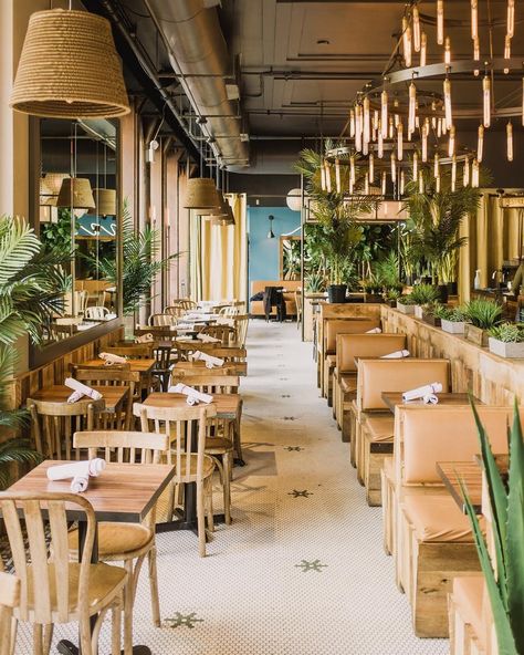 Brunch With Tacos and Tequila at New York’s Mexicue Brunch Cafe, Tequila Bar, Healthy Restaurant, Brunch Restaurants, Tacos And Tequila, Bar Inspiration, Host Dinner Party, Bar Interior, Family Restaurants