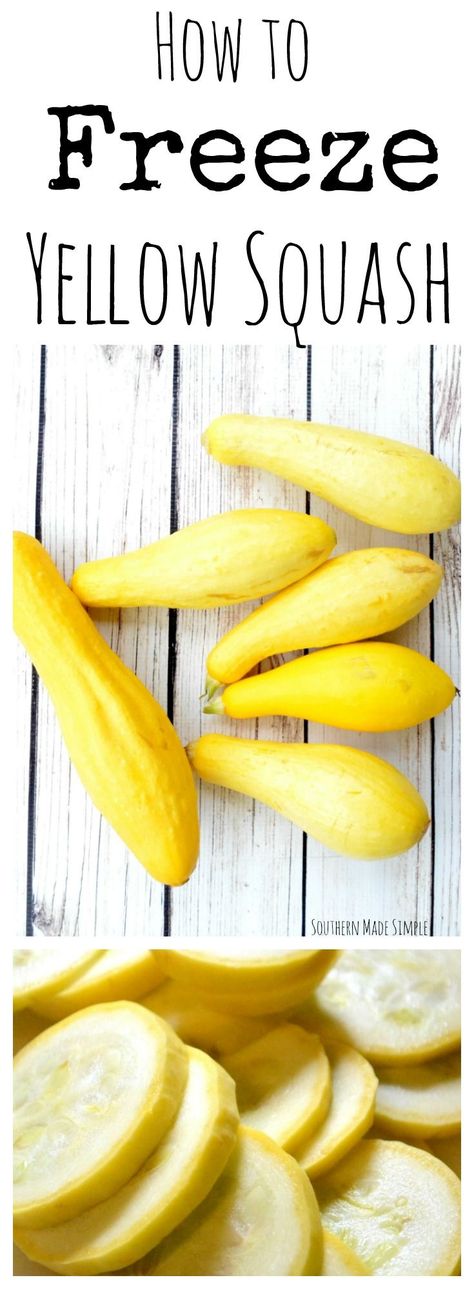 Do you have an abundance of yellow summer squash this summer? Don't throw it out! Use this simple step by step guide to freeze your squash and enjoy it all year long! Freeze Yellow Squash, Freezing Yellow Squash, Freezing Vegetables, Summer Squash Recipes, Yellow Squash Recipes, Coconut Dessert, Yellow Summer Squash, Brownie Desserts, Frozen Veggies