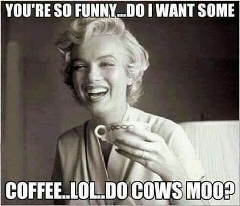 Coffee Meme, Coffee Quotes Funny, Funny Coffee Quotes, Happy Coffee, Coffee Talk, Coffee Obsession, Coffee Pictures, Coffee Is Life, Coffee Drinkers