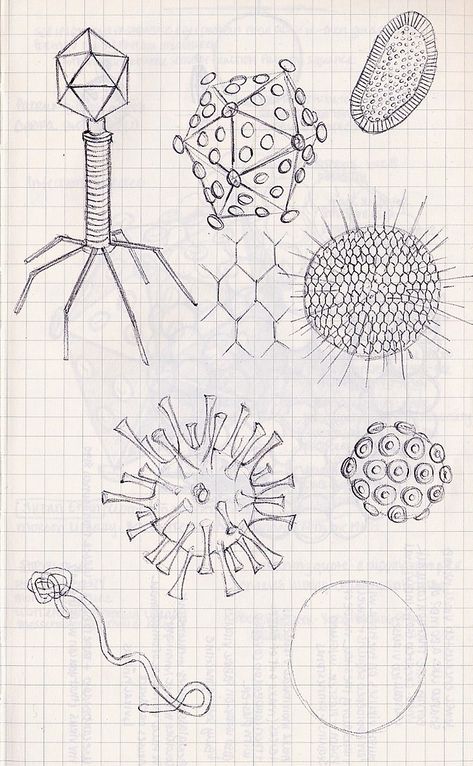 Sketches for viruses/bacteria Bacteria Cartoon, Biotechnology Art, Medicine Aesthetic, Hospital Art, Biology Drawing, Aesthetic Medical, Science Tattoos, Doctor Hospital, Black Ink Art