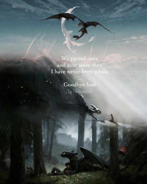 Httyd Quotes, Tiamat Dragon, Ur Dragon, Dragon Quotes, Night Fury Dragon, Httyd 2, Httyd Art, Hiccup And Toothless, Dragon Memes