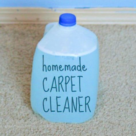 DIY Concentrated Carpet Cleaning Solution Homemade Carpet Cleaner Solution, Homemade Carpet Cleaner, Homemade Carpet Cleaning Solution, Carpet Cleaning Recipes, Carpet Cleaner Solution, Carpet Diy, Carpet Cleaner Homemade, Diy Carpet Cleaner, Carpet Cleaning Solution