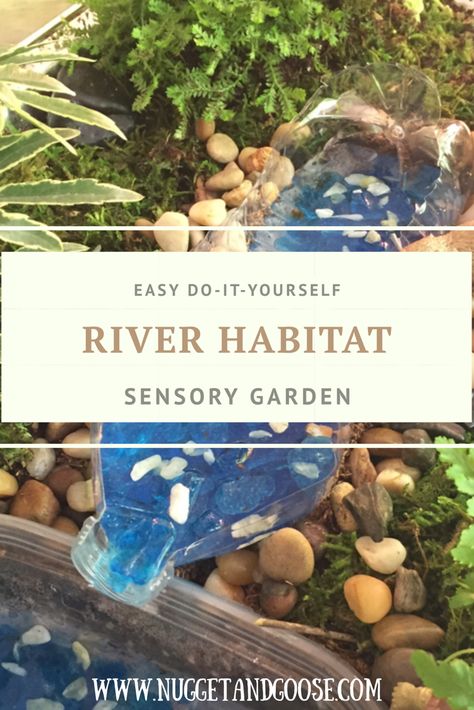 Forget Fairy Gardens! Little boys will love this easy river habitat sensory garden! This hands on activity introduces little ones to gardening while teaching them about North American river wildlife. Perfect for Tot School and preschool! Learn more by visiting www.NuggetandGoose.com River Activities For Preschool, River Sensory Bin, River Preschool Activities, River Projects For Kids, River Activities, River Animals Preschool, River Activities For Kids, Amazon River School Project, Forest School Water Activities