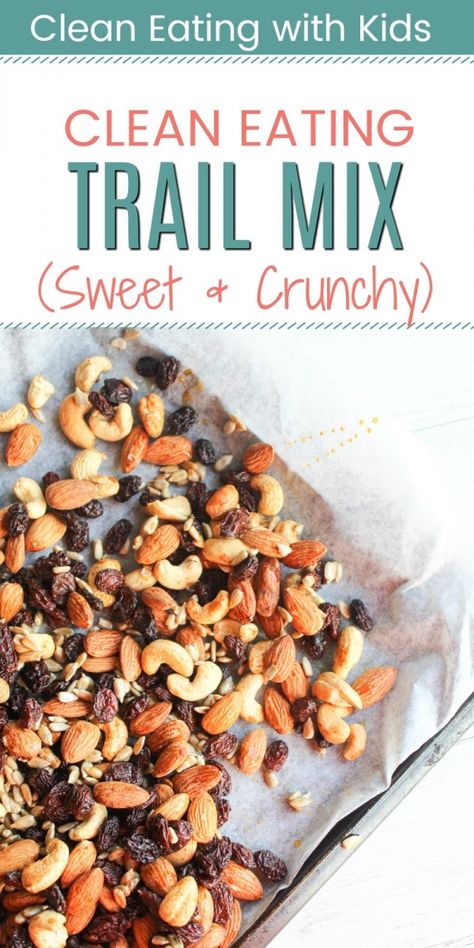 Homemade Trail Mix Recipes, Healthy Trail Mix Recipes, Clean Eating With Kids, Trail Mix Recipe, Healthy Trail Mix, Trail Mix Recipes, Homemade Trail Mix, Clean Eating Lunch, School Lunches