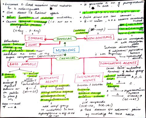 It is about the genetics part where we study about the Mutation and its a subtopic that is mutagens. Mutation Notes, Mutations Biology, Genetic Mutation, Science Notes, Flow Chart, Life Science, Genetic, Biology, Physics