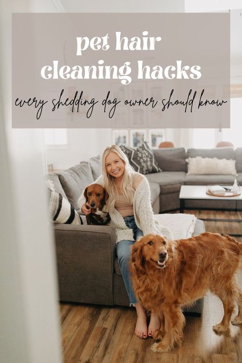 Pet Hair Cleaning Hacks, Dog Hair Cleaning, Keep Your House Clean, Cleaning Pet Hair, Hair Cleaning, Cleaning Supplies Organization, Muddy Paws, Dog Shedding, Cleaning Motivation