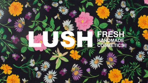 Cosmetics brand LUSH recently announced the winners of their 2017 Lush Prize, an award given to those who are working towards an animal testing free future. Skin Care Company, Lush Products, Lush Cosmetics, Lets Talk, Handmade Cosmetics, Catalog Design, Cosmetic Packaging, Cosmetics Brands, An Animal