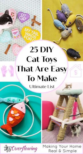 Make Cat Toys, Diy Jouet Pour Chat, Diy Cat Toys Easy, Cat Jungle Gym, Katt Diy, Katt Grejer, Kat Diy, Chat Diy, Handmade Cat Toys