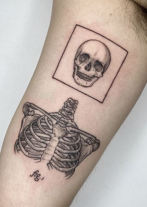 Veterinarian Tattoo, Scientific Tattoo, Book Inspired Tattoos, Anatomy Tattoo, Science Tattoos, Medical Tattoo, Skeleton Tattoo, Surreal Tattoo, Vintage Science